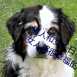 男人和女人日皮(男人和我希望全世界女人都很幸福的日批男女) （好天良夜）