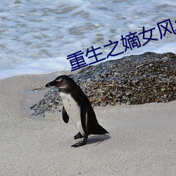 重生之嫡女风华(華)