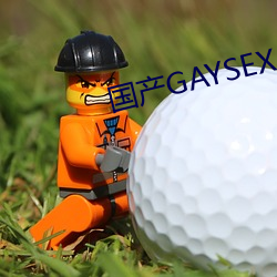 國産GAYSEX