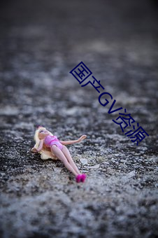 国(國)产GV资(資)源
