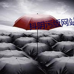 抖阴污版网站(站)