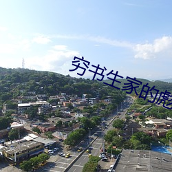 穷书生家的彪悍娘子