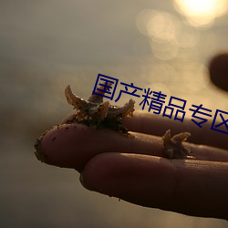 国产精品专区第二