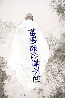 神秘(mì)老公惹不起