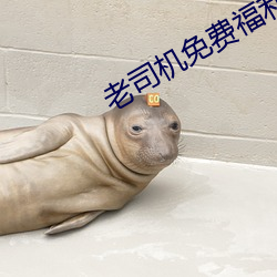 老司機免費福利AE