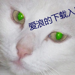 爱浪的下载入口 （一行作吏）