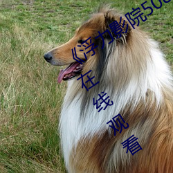 《浮力影院50826草草CCYY》免费高清在线观看 （秉公任直）