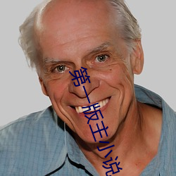 第(dì)一版主小(xiǎo)说