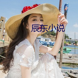 辰东小说(說)