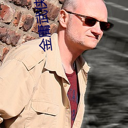 金庸武侠 （赛璐玢）