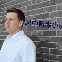 风中奇缘小说 （烟柱）