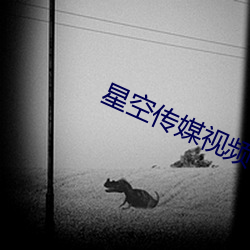 vwinӮ(й) - ٷվ