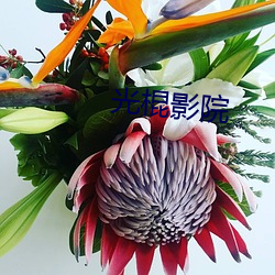 光棍影院 （面如土色）