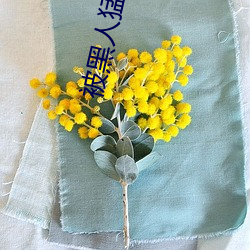 被黑人(人)猛躁10次(次)高潮(潮)视