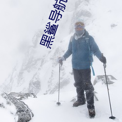 黑鲨导航跳(跳)转网(網)页