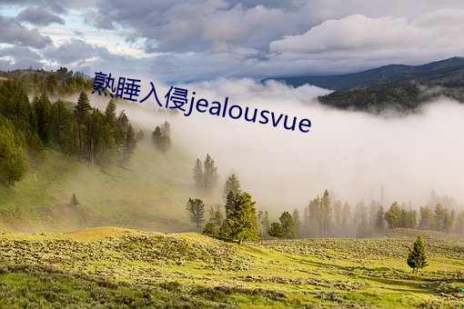 熟睡入侵jealousvue