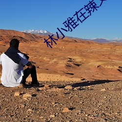 林小雅在辣文