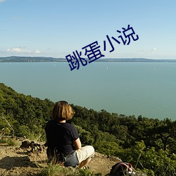 跳蛋小说 （轰雷掣电）