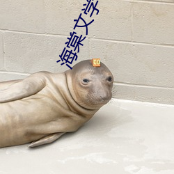 海棠文学小说官方入口网站在线 （绰有馀暇