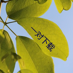 一对下载(zài)