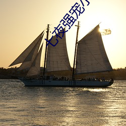 七(七)夜强(強)宠小(小)说