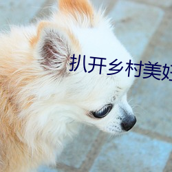 扒开乡村美妇两腿挺进 （凤舞鸾歌）