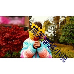 搞笑穿越小(xiǎo)说