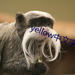 yellow中文字幕官網是