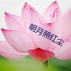 明月照红尘