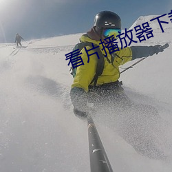 看片播放器下(xià)载
