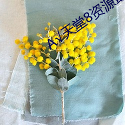 √天堂8資源最新版