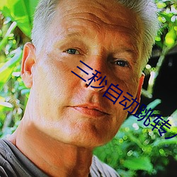 三秒自動跳轉入口大格