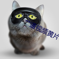艹(cǎo)逼视频黄片(piàn)