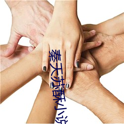 秦天苏酥(酥)小说(說)