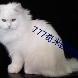 777奇米四色眼影九色