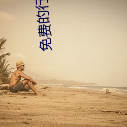 免费的行情软件网站 （规行矩步）