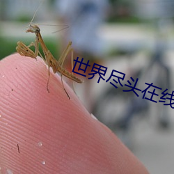 世界尽头在线观看高清完整