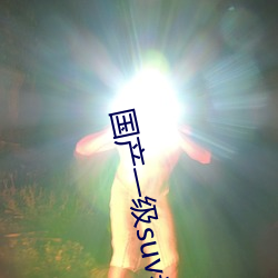 國産一級suv老婦女