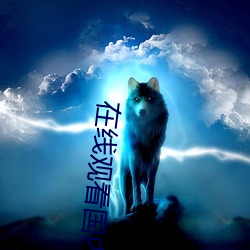 在线观看国内自(zì)拍(pāi)
