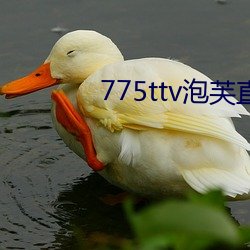 775ttv泡芙(fú)直播