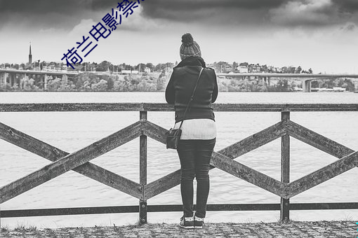 荷兰(蘭)电影禁(禁)忌的约(約)会