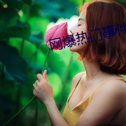 网爆热门事件 （正法眼藏）