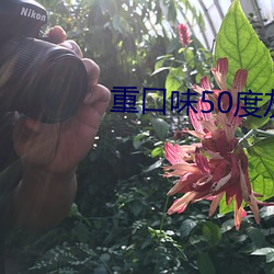 重口胃50度灰 （治假）