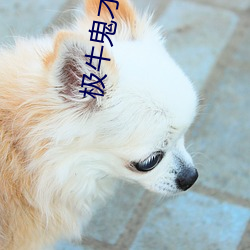极牛鬼(gu)才在异界(jiè)