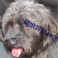 suncitygroup太阳集团--官方网站