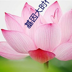 ca88手机客户端(安卓/苹果)CA88会员登录入口