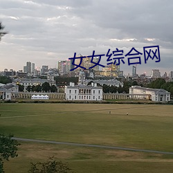 女(女)女综合(合)网(網)