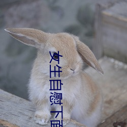 女生自慰下面濕了流出來的水是白色的正常嗎