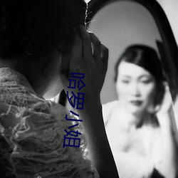 哈(哈)罗(羅)小姐
