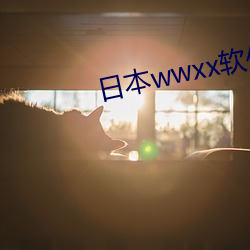 918博天堂·(中国)手机版客户端